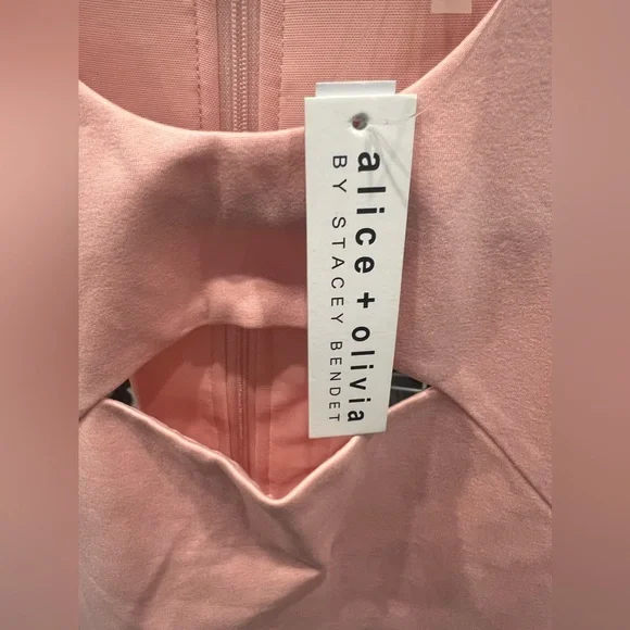 NWT- Alice + Olivia- Gara Cutout Mini Dress in English Rose- Size 4 - Picture 2 of 7
